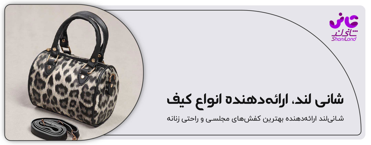 کیف دستی شانی لند